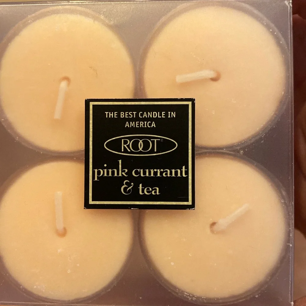 NIP ROOT TeaLight Candles Transparent Cup Set of 4 Pink Currant & Tea 4 Hours